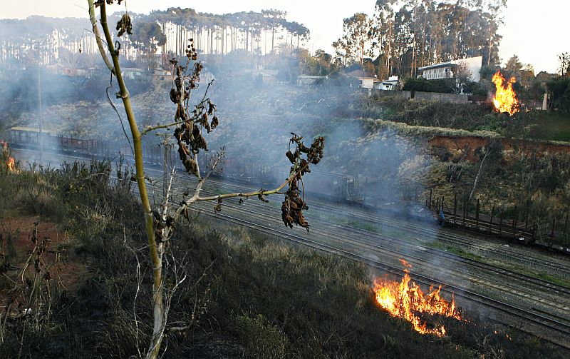 A reserva tem área total de 284 hectares, mas a dimensão do estrago ainda não foi apurada | Josué Teixeira/Gazeta do Povo