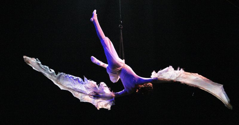 Foi o primeiro acidente fatal nos 29 anos da companhia; foto acima mostra ensaio de "Varekai" no Brasil, em 2012 | Daniel Castellano/Gazeta do Povo