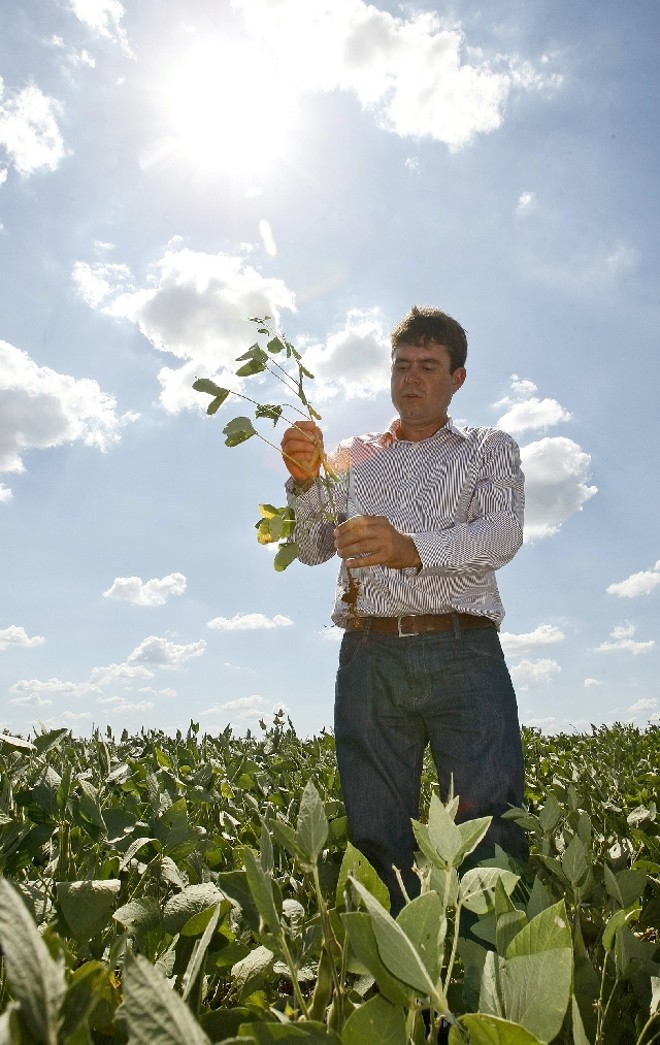 Balanço positivo: Emerson Penachiotti, de Itambé (Norte do Paraná) espera definição de royalties da nova soja para apostar na segunda geração da tecnologia |