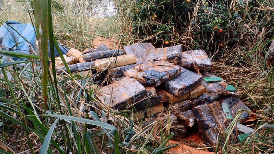 Equipe policial localizou grande quantidade de maconha depositada em uma área de preservação ambiental | Polícia Federal/Divulgação