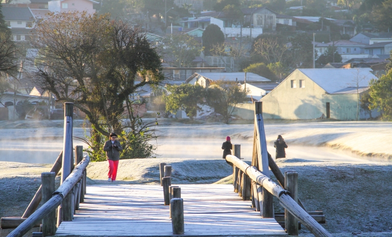 No Parque Tingui, em Curitiba, a temperatura abaixo de zero provocou geada forte | Daniel Castellano / Gazeta do Povo