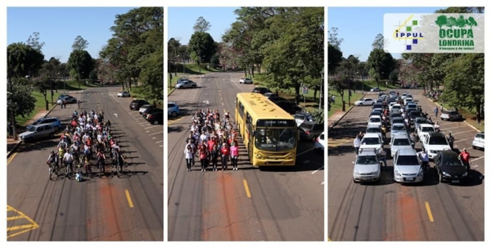 | Divulgação