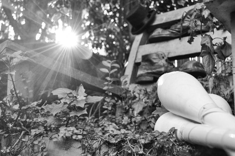 | Javiera Consuelo/Divulgação