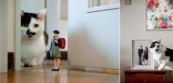 | Fotos: Divulgação