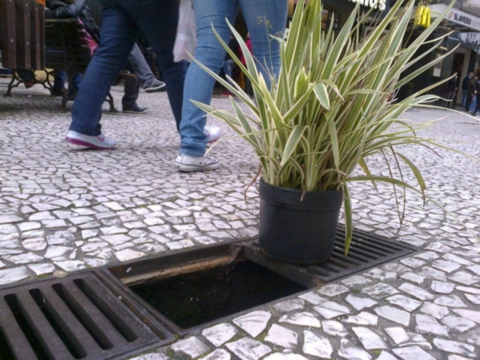  | Célio Borba
