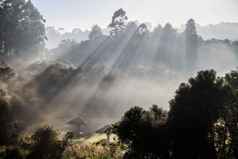 | Daniel Castellano/Agência de Notícias Gazeta do Povo