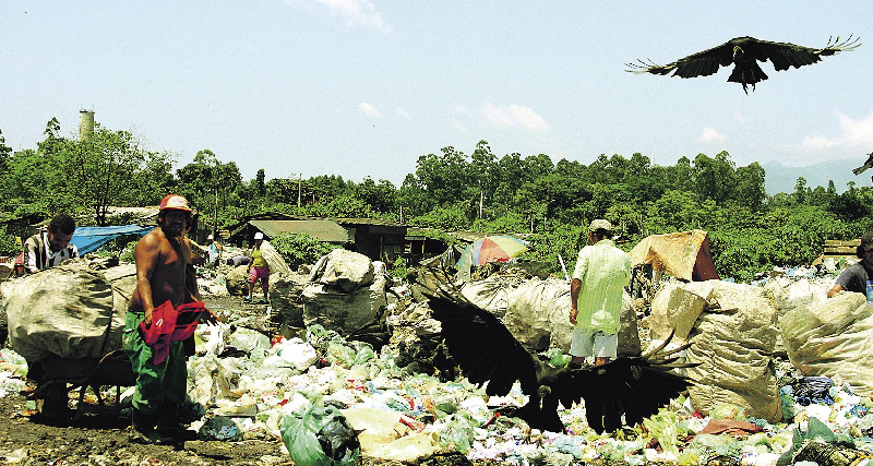 Entre as cidades paranaenses que ainda usam lixões, Paranaguá é a maior. O licenciamento ambiental para a construção de aterro já foi liberado | Felipe Lessa/Gazeta do Povo