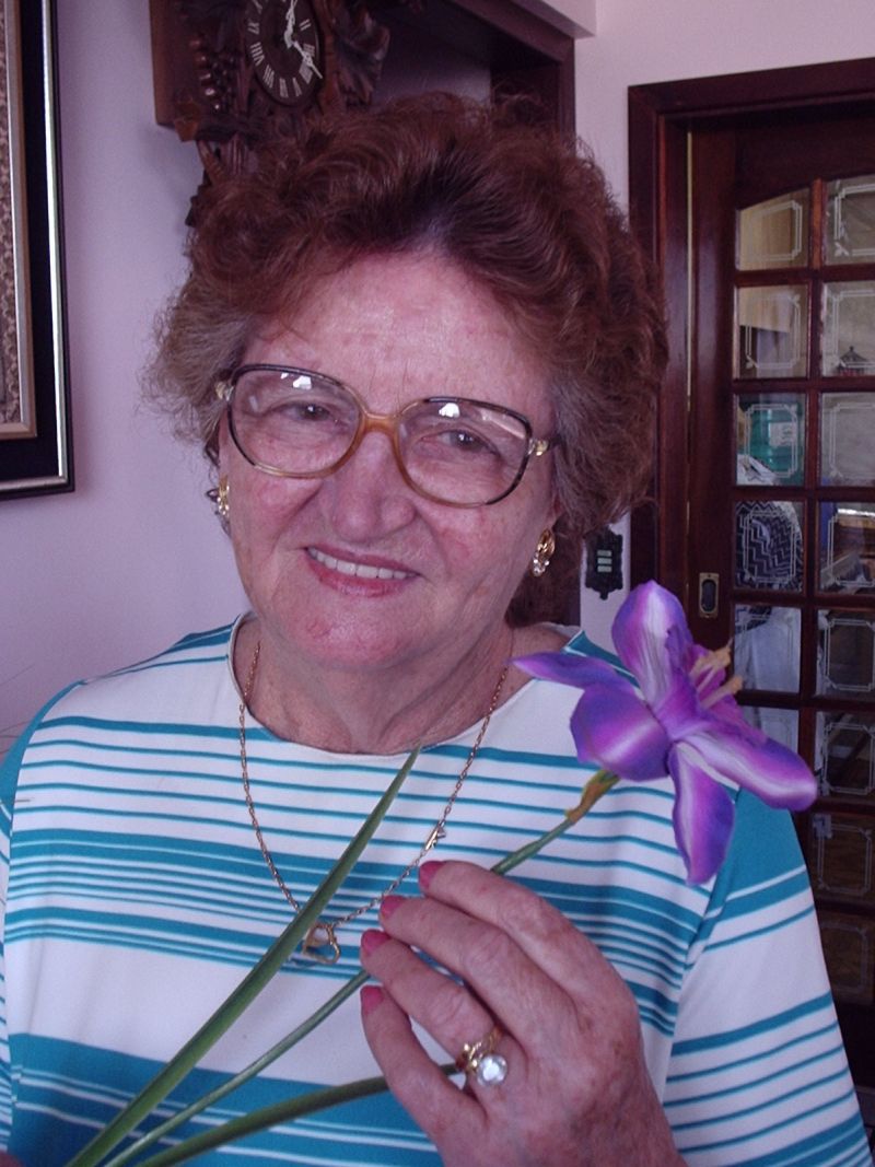 | Arquivo da família