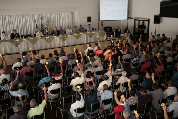 Assembléia reuniu mais de 200 produtores, dos mais de 6 mil associados. | Milton Da³ria / Divulgaa§a£o