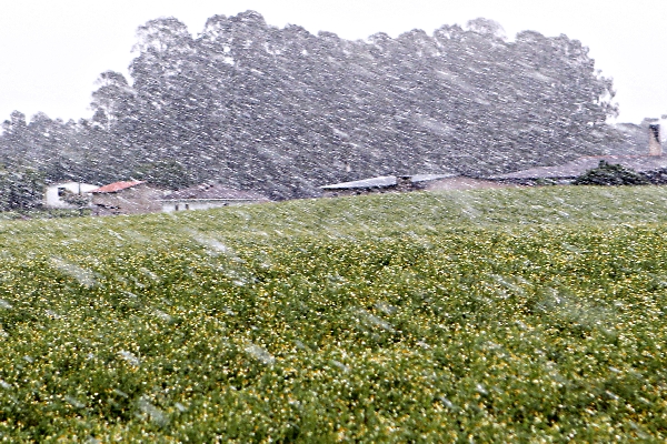 | Albari Rosa/Gazeta do Povo