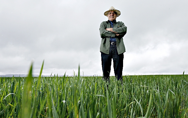 Produtor Eduardo Medeiros ainda tem opinião cautelosa sobre o seguro. | Josua© Teixeira/ Gazeta Do Povo