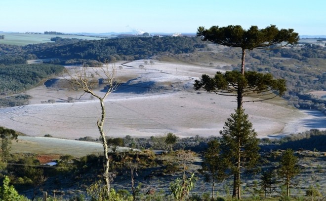 Safra de inverno ficou coberta de branco em Entre Rios, distrito de Guarapuava. |