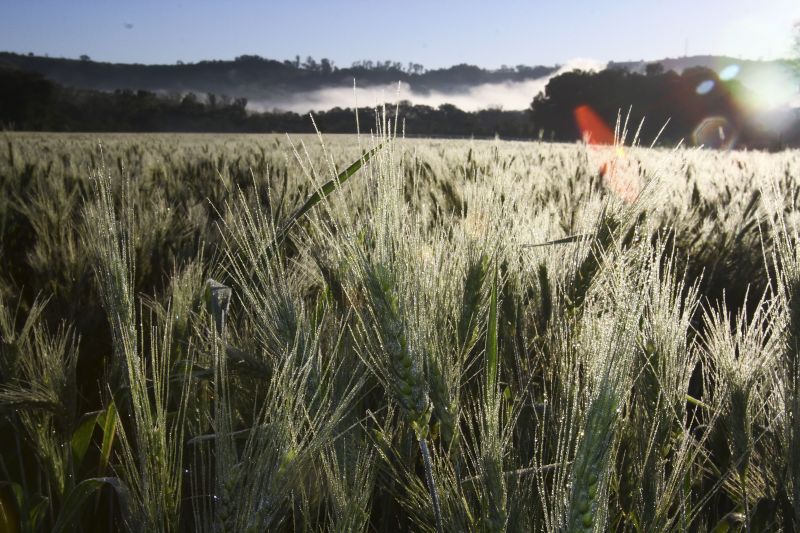 Com perdas na América do Sul, país importa mais dos EUA | Roberto Custódio/JL
