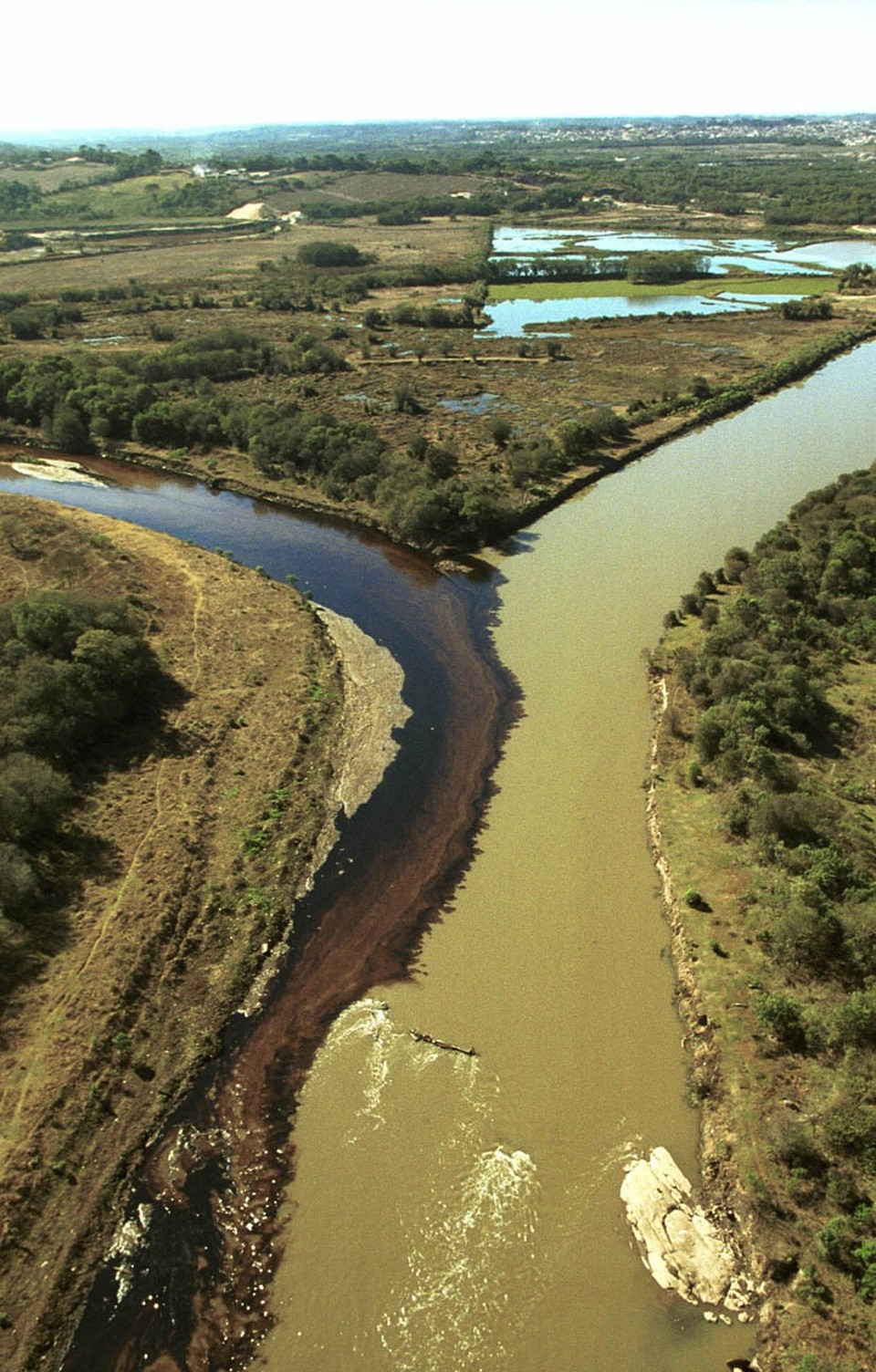 Mancha de óleo chegou a cobrir a totalidade de um dos braços do rio Barigui | Edson Silva/Gazeta do Povo/Arquivo
