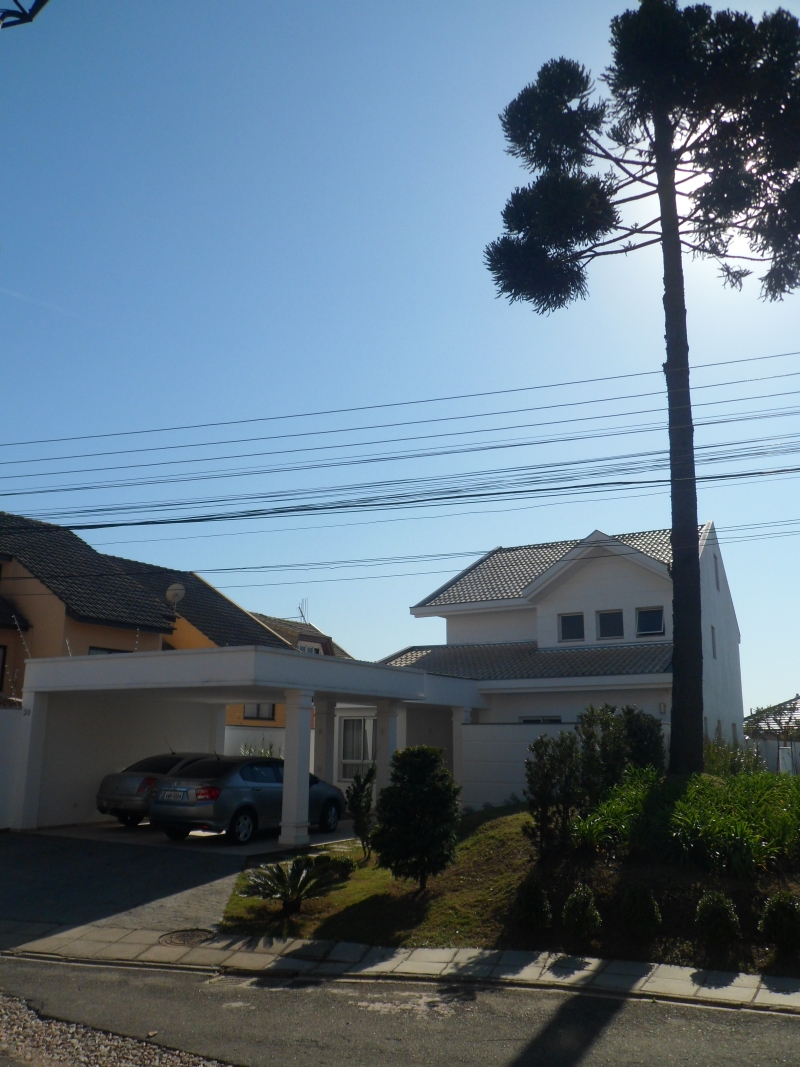 O projeto da casa teve de sofrer alterações para não prejudicar a araucária que está no terreno vizinho | Divulgação