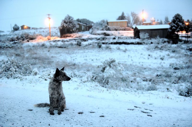 | Daniela Xu/ Folhapress