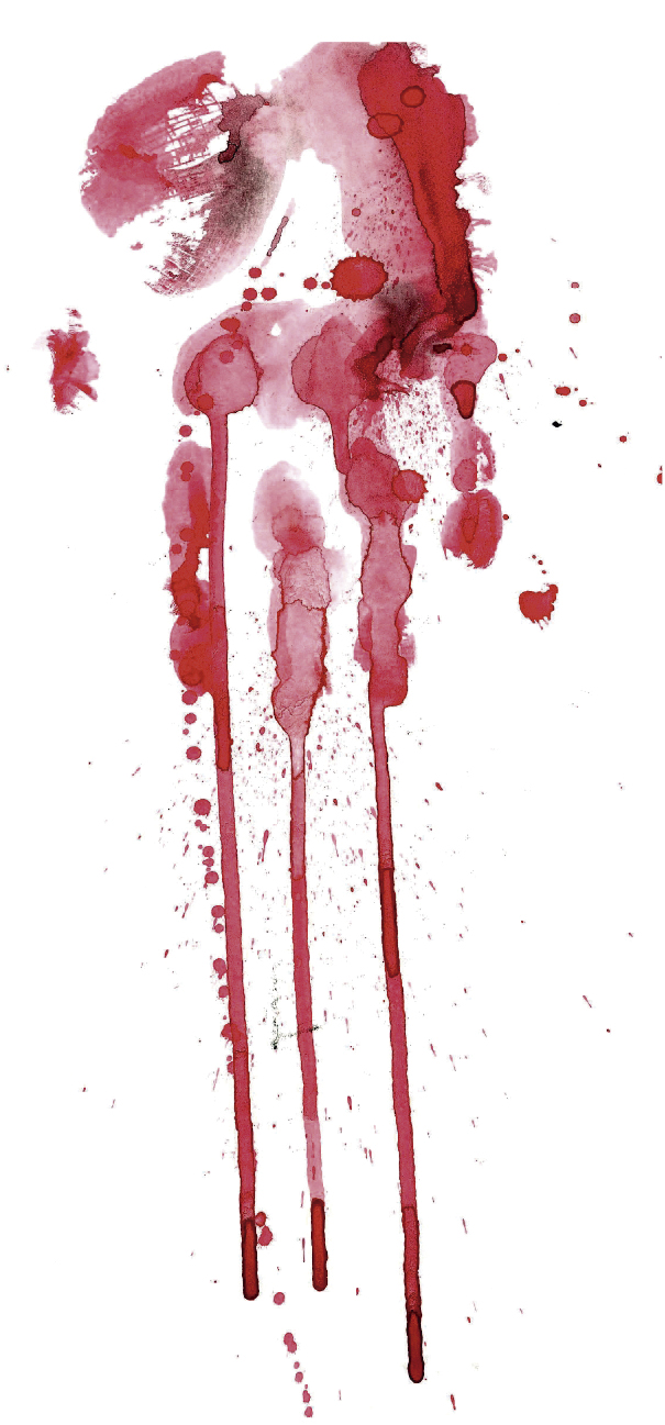 | Ilustração: Robson Vilalba