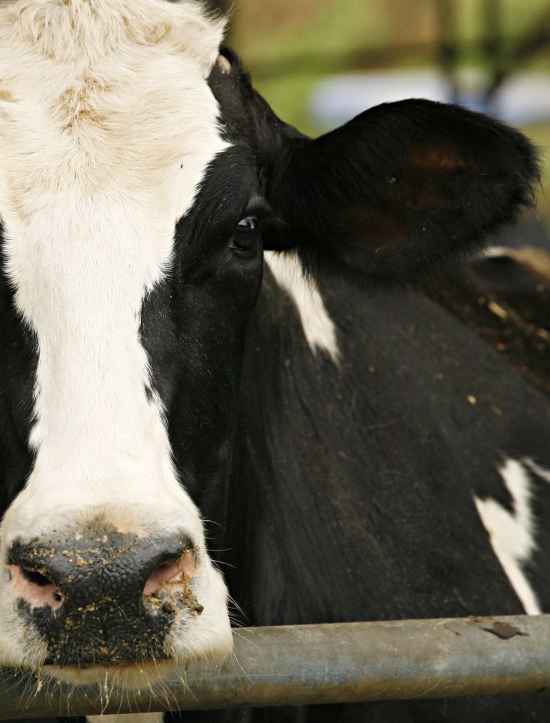 | Josa© Teixeira / Gazeta Do Povo