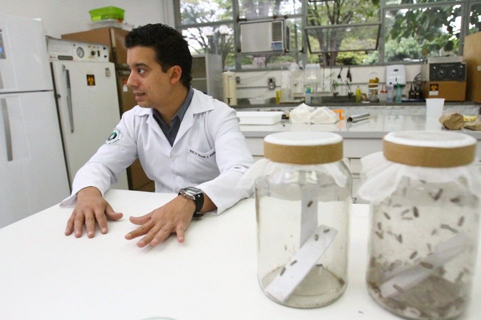 O laboratório do professor Ricardo Sérgio Couto de Almeida, na UEL, produz 2 mil larvas de mariposa por mês. | Gilberto Abelha / Gazeta do Povo
