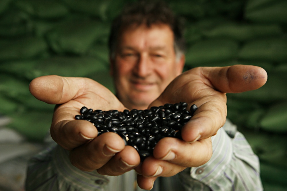 Dono de uma cerealista, paranaense Vanderlei Baldissera, não conseguiu importar feijão da China quando houve escassez do produto no mercado interno. Mas agora comemora alta nos preços. | Josua© Teixeira / Gazeta Do Povo