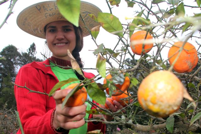 Vilmara, de 20 anos, aposta no plantio de novas culturas | Walter Alves/ Gazeta Do Povo