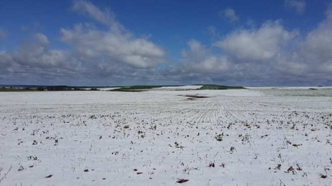Neve cobriu de branco os campos de Guarapuava. Como maior parte da cevada estava em fase inicial de desenvolvimento, expectativa de alta produtividade se mantém | Larissa Wilk / Divulgaa§a£o