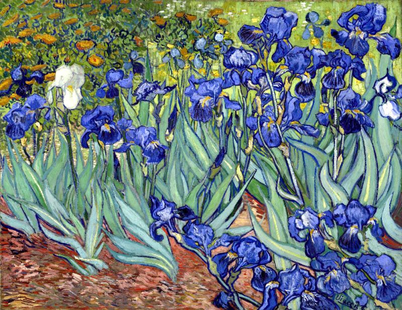 Irises (1889), pintura do holandês Van Gogh | Reprodução