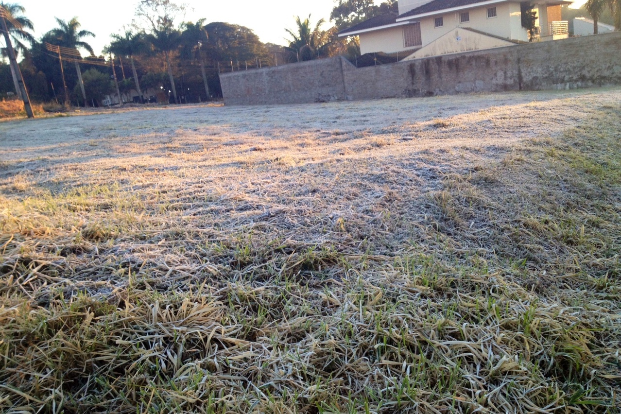 Em Maringá, geada foi verificada na Zona 5, na região sul e nas proximidades do Jardim Itália | Alana Gazoli / RPCTV Maringá