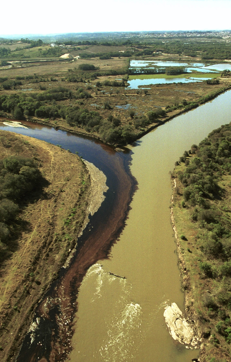 Encontro dos Rios Barigui e Iguaçu, em Araucária: a mancha de óleo se estendeu por 120 km | Edson Silva/ Gazeta do Povo