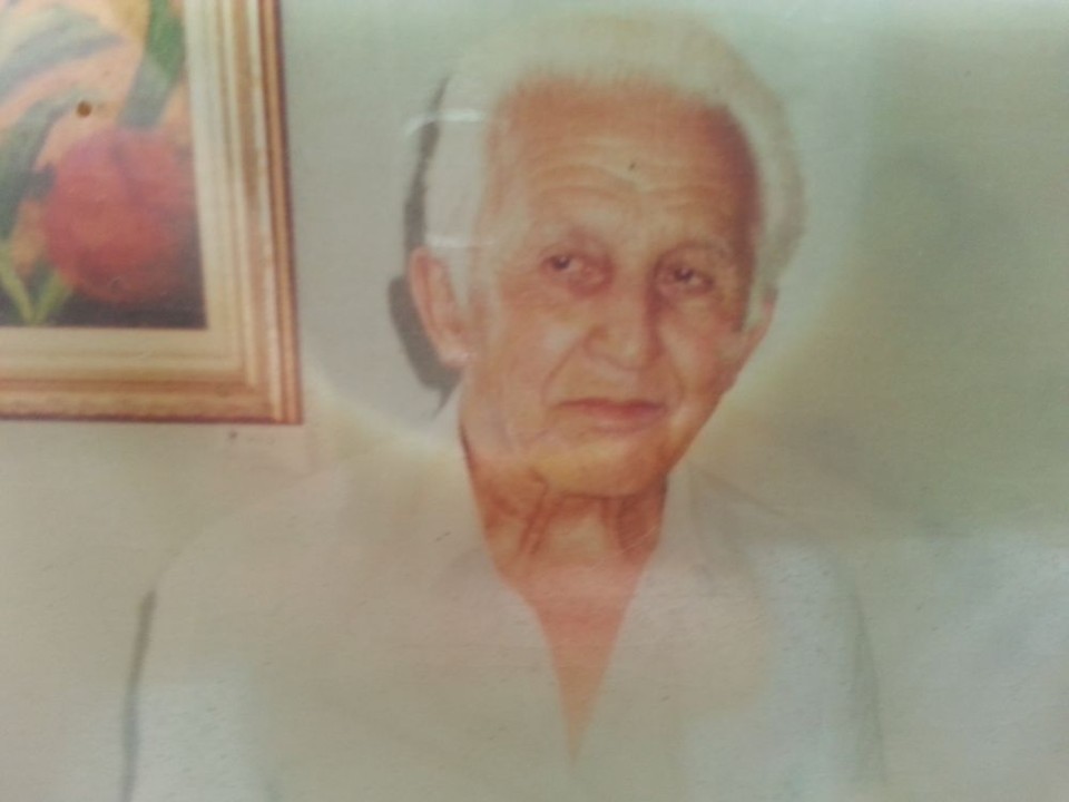  | Arquivo da família