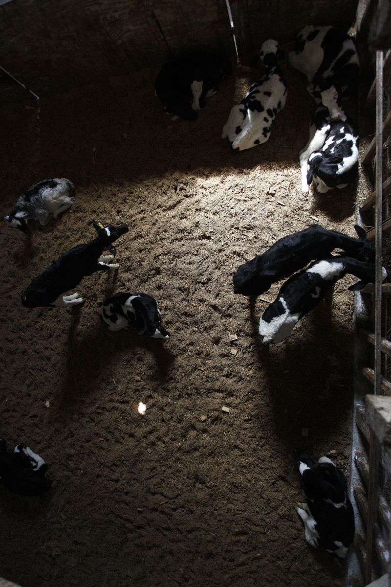 | Jonathan Campos/gazeta Do Povo