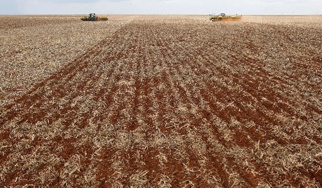 Variação climática afetou trabalhos de plantio e colheita durante a safra 2012/13 | Hugo Harada/gazeta Do Povo
