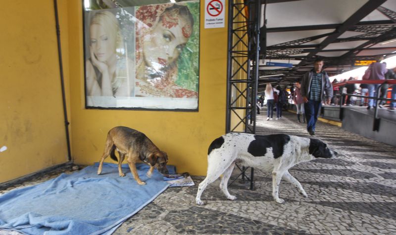 | Daniel Castellano/Gazeta do Povo