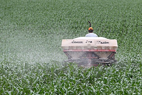 Emprego tem o pior julho em dez anos A agricultura foi o setor que mais contratou em julho, com 18,1 mil novas vagas formais no país | Albari Rosa/ Gazeta do Povo