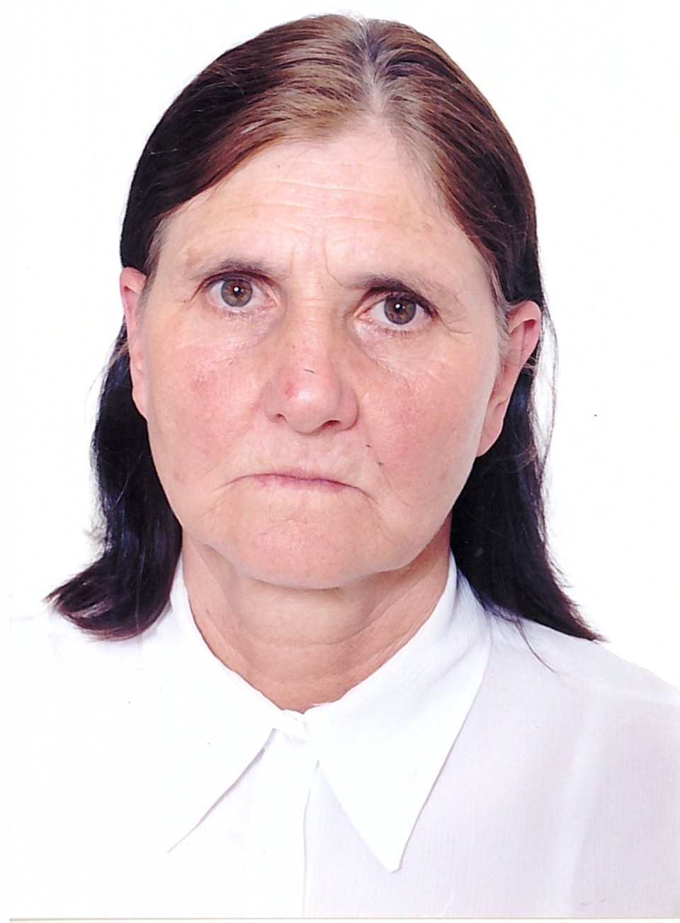  | Arquivo da família