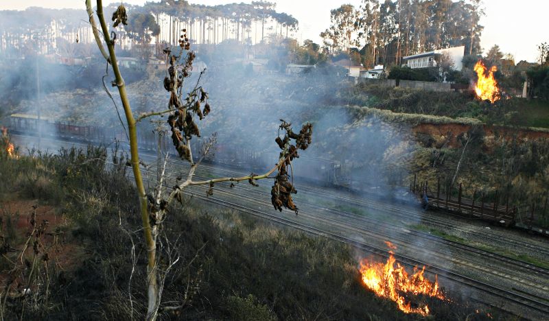 Incêndio recente em mata na região de Ponta Grossa: somente em seis dias do mês de agosto foram registradas quase 600 queimadas no Paraná | Josué Teixeira/Gazeta do Povo
