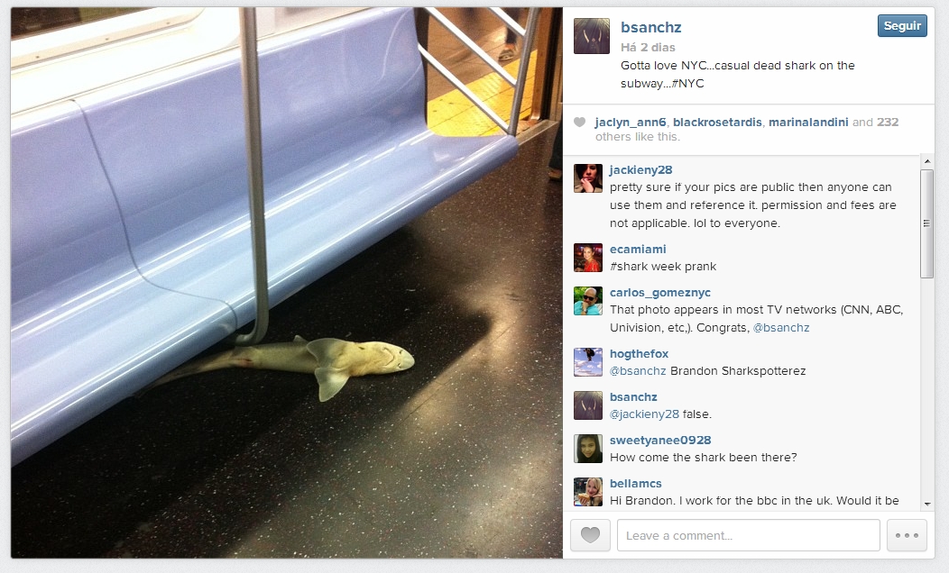 Foto tirada pelo usuário "bsanchz", e postada na rede social Instagram, mostra o tubarão encontrado no metrô de NY | Reprodução/Instagram