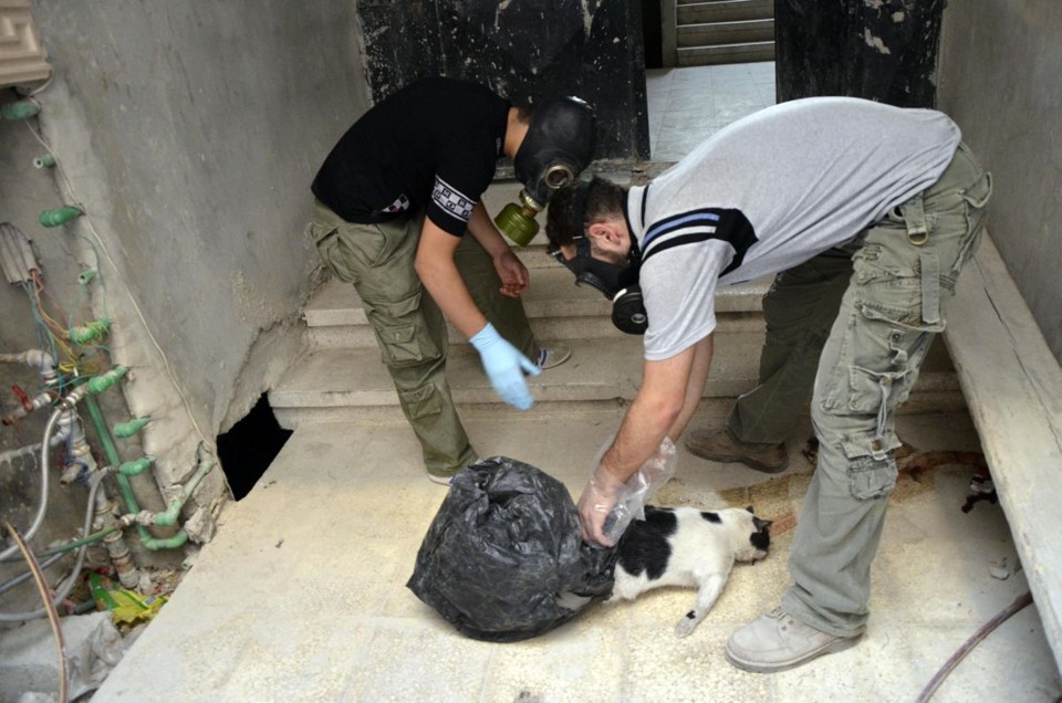 Ativistas vestindo máscaras recolhem um gato morto para provar o uso de armas químicas em ataque | REUTERS/Bassam Khabieh