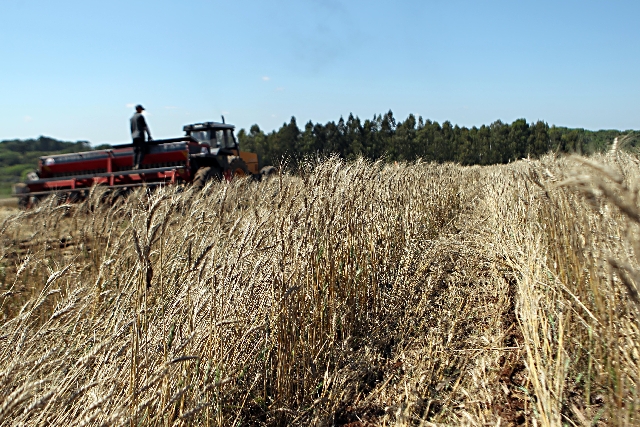 | Albari Rosa/ Gazeta Do Povo