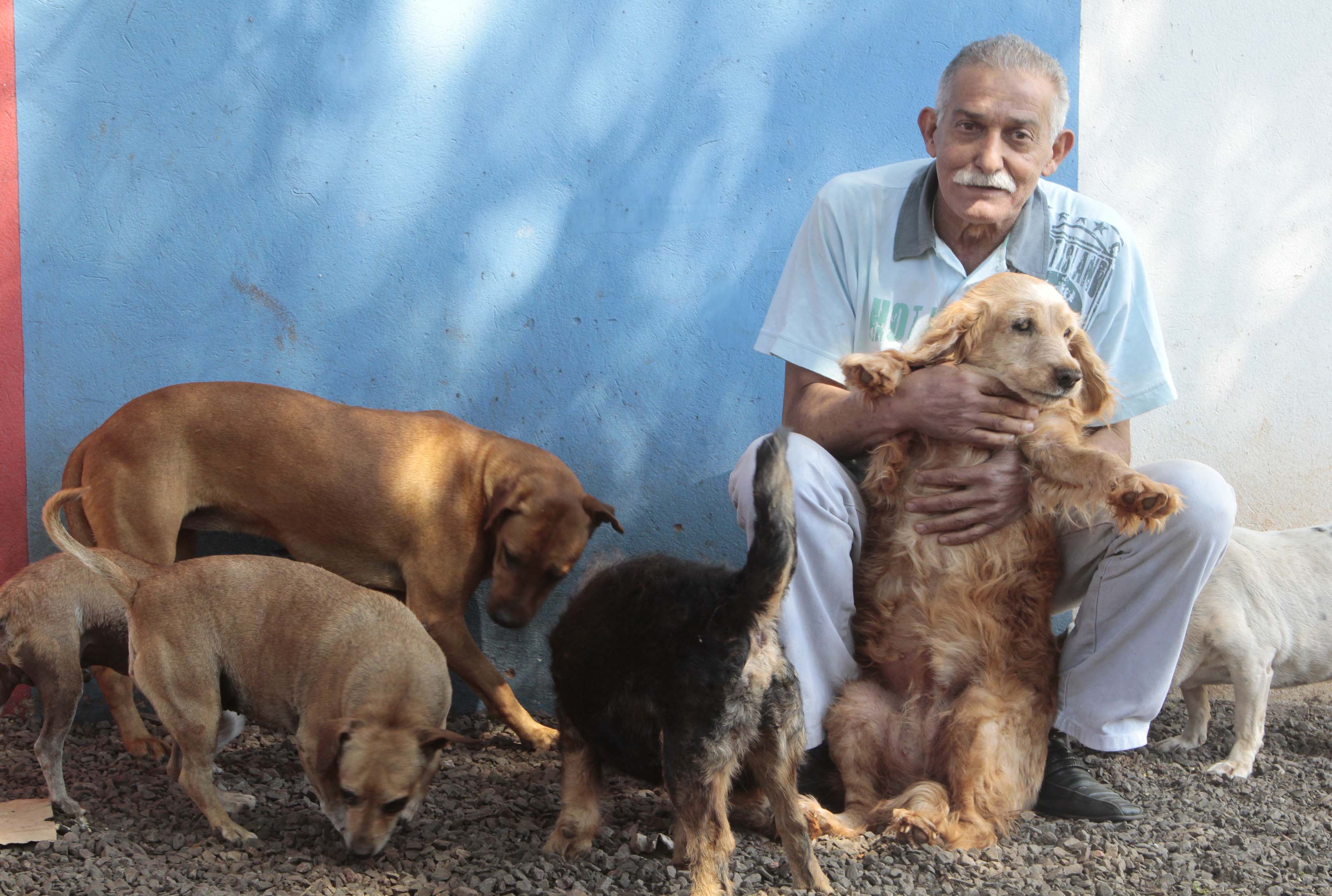 Reis já travou brigas com ex-prefeitos e vários clientes, sempre na tentativa de proteger os animais | Ivan Amorin/Gazeta Maringá