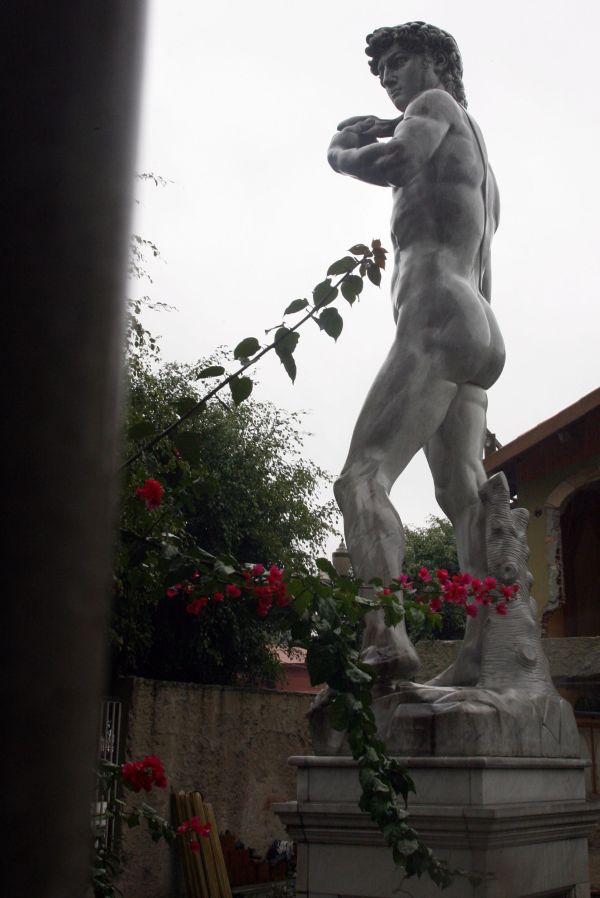 | Priscila Forone/ Gazeta do Povo