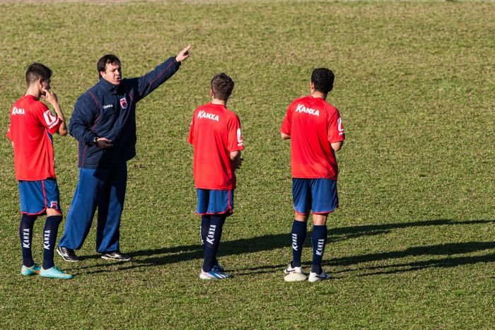 O Paraná, comandado pelo técnico Dado Cavalcanti, tem 95,7% de probabilidade de subir para a Série A | Brunno Covello / Gazeta do Povo