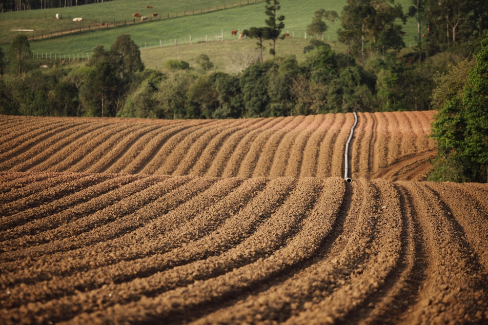 Preço da terra, que dobrou nos últimos anos, amplia a arrecadação do imposto, que pode ser aplicado na reforma de estradas rurais. | Jonathan Campos/gazeta Do Povo