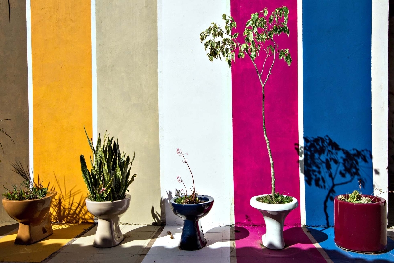 Obra Jardinagem Privada, do artista Dach, integra a mostra | Bruno Covello/Gazeta do Povo