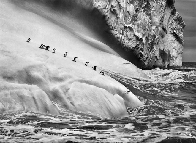 Foto da exposição Gênesis, do fotógrafo brasileiro Sebastião Salgado |