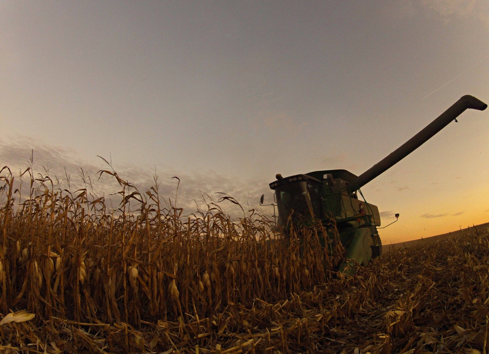 Cereal é plantado e colhido antes da oleaginosa. Produção nos EUA deve superar as 365 milhões de toneladas neste ano. | Christian Rizzi / Gazeta Do Povo