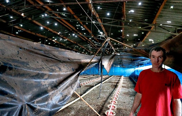 Roberto Sauter vai precisar de financiamento para reconstruir cobertura de aviário em Corbélia | Ca©sar Machado