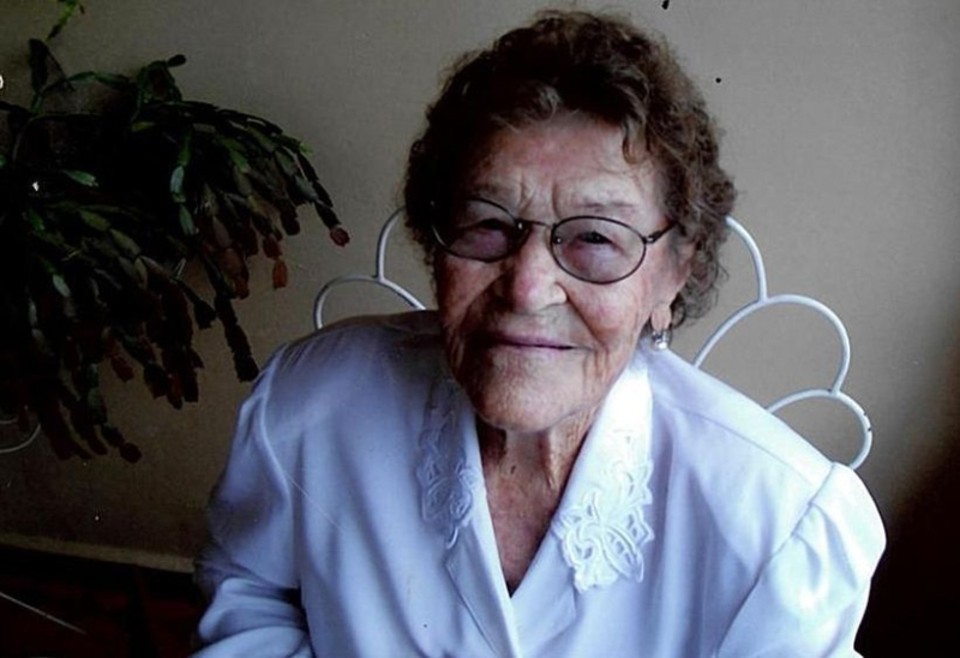  | Arquivo da família