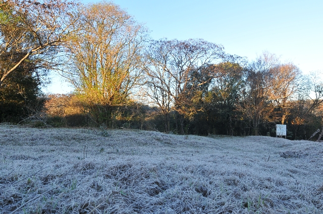 | Almir Trevisan/c. Vale