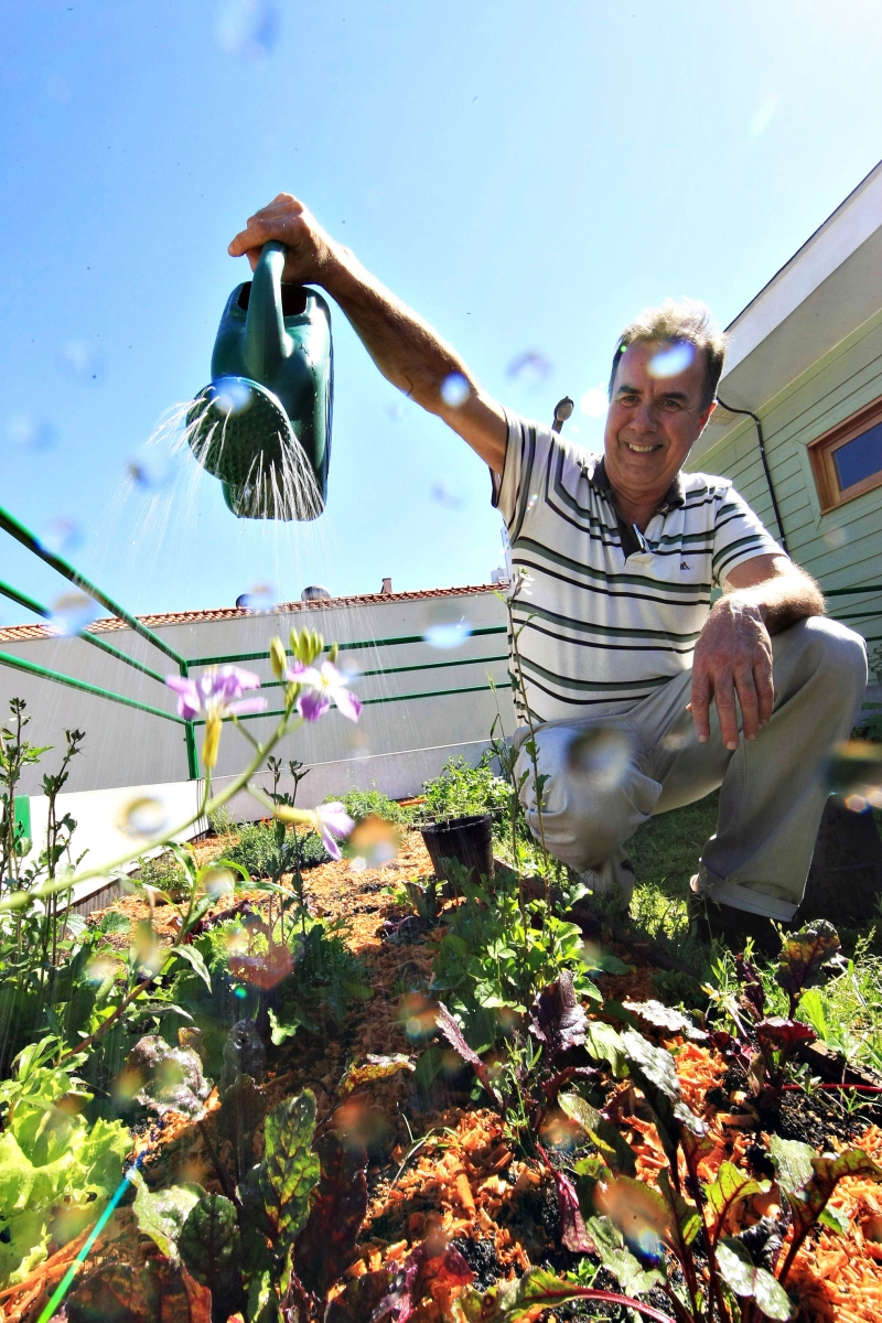 Eloy Casagrande Jr., da UTFPR, criou projeto de extensão voltado à agricultura urbana | Ivonaldo Alexandre/ Gazeta do Povo